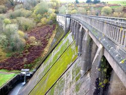 Clatworthy Wallpaper