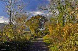 Stour Valley Autumn Wallpaper
