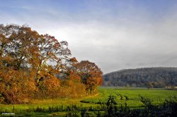 Stour Valley Autumn Wallpaper