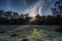 Cannock morning walk Wallpaper