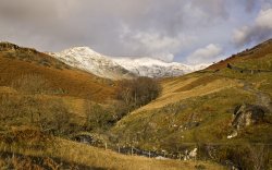 Scandale from High Sweden Bridge Wallpaper