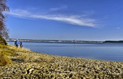 Arne RSPB Reserve Wallpaper