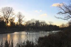 Upper Eastern Pond Wallpaper