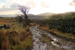 Rugged track, Duddon Valley nr Duddon Bridge Wallpaper