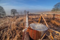 Bradgate park Wallpaper