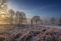 Bradgate park Wallpaper