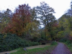 Hubards Hill Autum colour Wallpaper