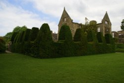 A nice look Wallpaper