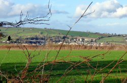 Combe St Nicholas Wallpaper