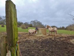 LUNCH TIME Wallpaper