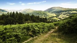 Todd Crag to Red Screes Wallpaper