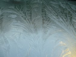 The Pretty Side Of Nature Wallpaper