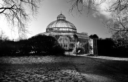 Palm House, Sefton Park, Liverpool. Wallpaper