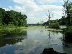 The lake Clumber park. Wallpaper