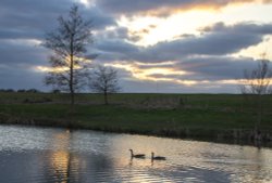 Hopsford hall Shilton Wallpaper