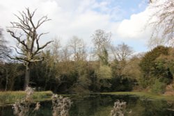 Sherbourne Pond Wallpaper