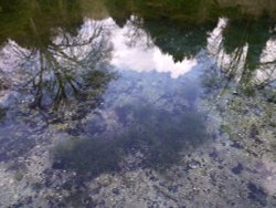 Clarity and Reflections Wallpaper