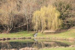 Albury Fisheries Wallpaper