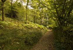 Skelghyll Woods 1 Wallpaper