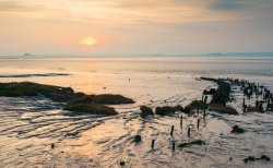 Estuary Sunrise, Sedbury.