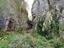 Ebbor gorge Wallpaper