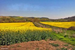 Stour Valley Spring, North Dorset. Wallpaper