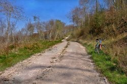 Stour Valley Spring, North Dorset. Wallpaper