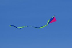 Kite on Holkham beach Wallpaper