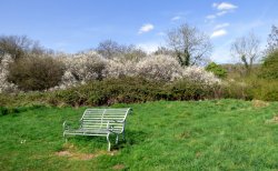 Ebbor Gorge Wallpaper