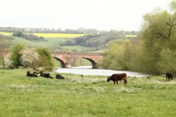 Thames Path, Goring Wallpaper