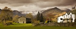 Fairfield Horseshoe Wallpaper