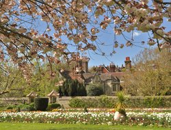 Lewes Grange Under Blossom Wallpaper