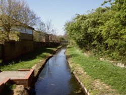 The Feeder NW10 Wallpaper