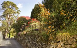 Sweden Bridge Lane 1 Wallpaper