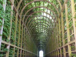 Hampton Court Palace Wallpaper