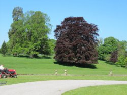 Mowing the Lawn at Constable Burton Hall Gardens Wallpaper