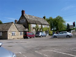 The Rose Revived Wallpaper