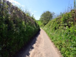 Woodbury Common Wallpaper