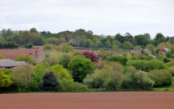 Yettington Wallpaper