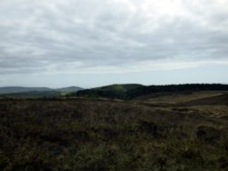 Woodbury Common Wallpaper