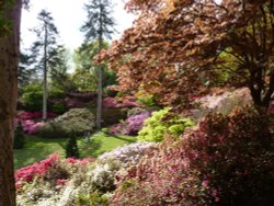 The Punch Bowl, Virginia Water Wallpaper