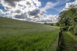 Hartshill Hayes Wallpaper