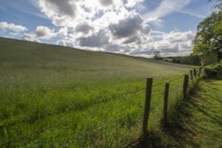 Hartshill Hayes Wallpaper