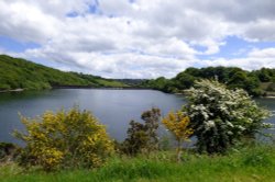 Clatworthy Wallpaper