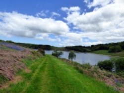 Clatworthy Wallpaper