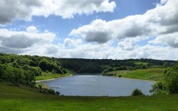 Clatworthy Wallpaper