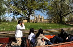 Photographing Wallpaper