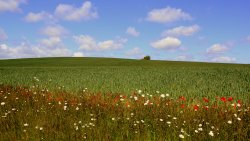 Lincolnshire wolds Wallpaper