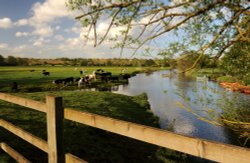 Rural tranquillity along the River Stour Wallpaper
