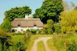 Wolds Cottage Wallpaper